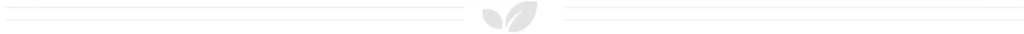 vics-gutter-filters-gutter-installation-and-repair-in-portland-or-section-divider