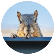 vics-gutter-filters-gutter-installation-and-repair-in-portland-or-leaf-blaster-pro-pests