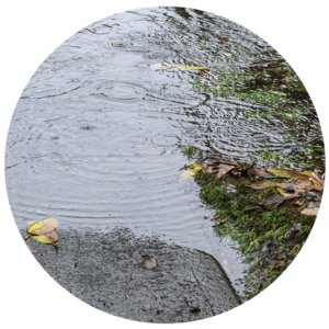 vics-gutter-filters-gutter-installation-and-repair-in-portland-or-leaf-blaster-pro-pine-needles-landscape-erosion