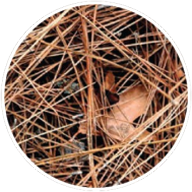 vics-gutter-filters-gutter-installation-and-repair-in-portland-or-leaf-blaster-pro-pine-needles