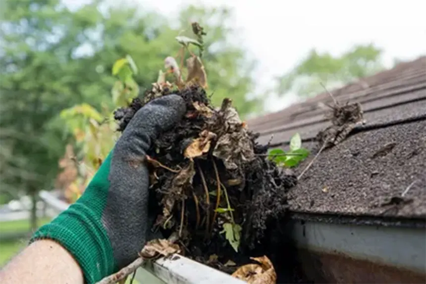 vics-gutter-filters-gutter-installation-and-repair-in-portland-or-gutter-cleaning-service-clogged-gutters