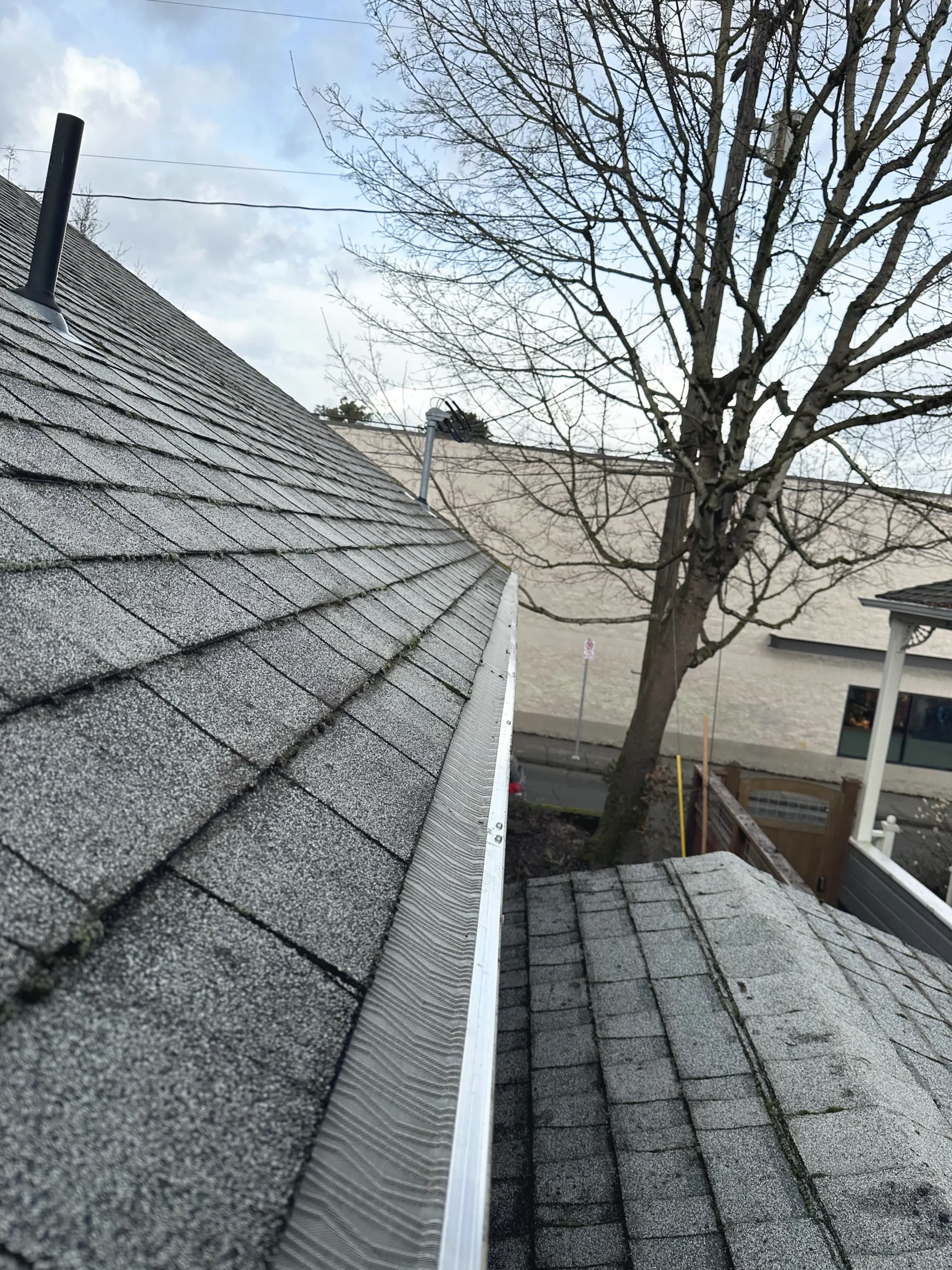 Gutter Filter Service in Portland, OR on Residential Home