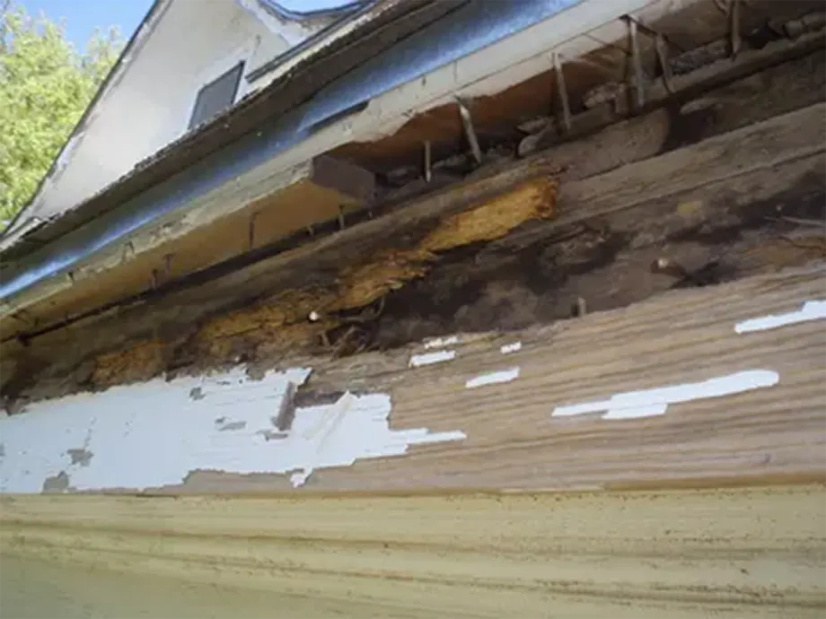 vics-gutter-filters-gutter-maintenance-service-in-portland-gutter-damage